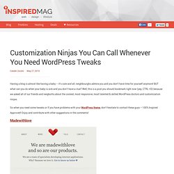 Customization Ninjas You Can Call Whenever You Need Wordpress Tw