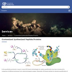 Customized Synthesized Peptide/Proteins