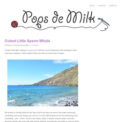 Cutest Little Sperm Whale - Pops de Milk