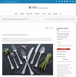 Cutlery sets: Buying Guide and Care Tips - Izzz Blog