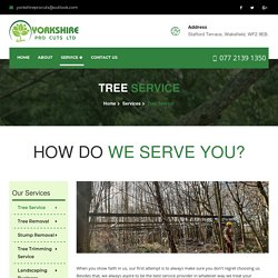 Tree Cutting Company Yorkshire