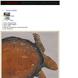 Orange Turtle - On the Cutting Edge Exhibition