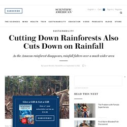 Cutting Down Rainforests Also Cuts Down on Rainfall