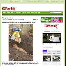 Amateur Gardening Amateur Gardening
