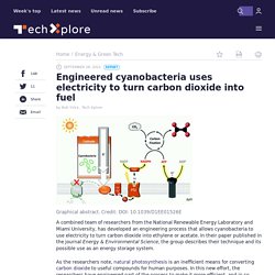 Engineered cyanobacteria uses electricity to turn carbon dioxide into fuel