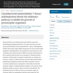 Cyanobacterial antimetabolite 7-deoxy-sedoheptulose blocks the shikimate pathway to inhibit the growth of prototrophic organisms