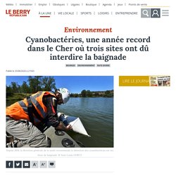 Cyanobactéries, une année record dans le Cher où trois sites ont dû interdire la baignade - Bourges (18000)