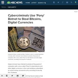 Cybercriminals Use 'Pony' Botnet to Steal Bitcoins, Digital Currencies - NBC ...
