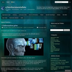 cyberdocumentaliste
