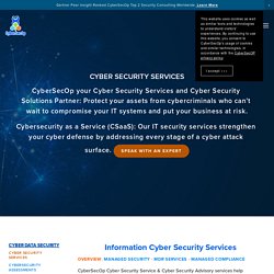 Cyber Security Services, Cybersecurity Service, CSO Security Consulting Services