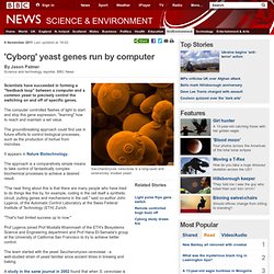 'Cyborg' yeast genes run by computer