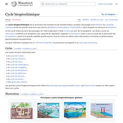 Cycle biogéochimique
