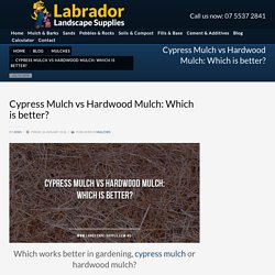 Cypress Mulch vs Hardwood Mulch: Which is Better?