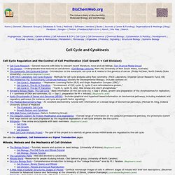 Cell Cycle & Cytokinesis - BioChemWeb.org