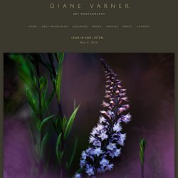 DAILY WALKS BLOG — Diane Varner