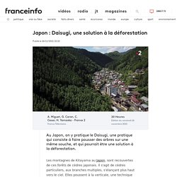 Japon : Daisugi, une solution à la déforestation