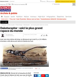 Dakotaraptor : voici le plus grand rapace du monde