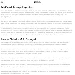 Mold damage inspection miami