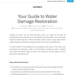 Your Guide to Water Damage Restoration – nymoldpro