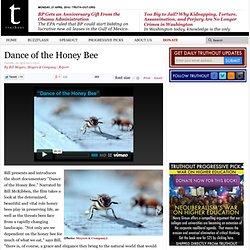Dance of the Honey Bee