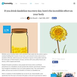 If you drink dandelion tea every day, here's the incredible effect on your body