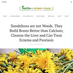 Dandelions are not Weeds. They Build Bones Better than Calcium; Cleanse the Liver and Can Treat Eczema and Psoriasis