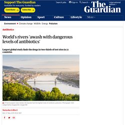 World's rivers 'awash with dangerous levels of antibiotics'