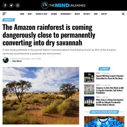 The Amazon rainforest is coming dangerously close to permanently converting into dry savannah