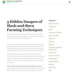 3 Hidden Dangers of Slash-and-Burn Farming Techniques