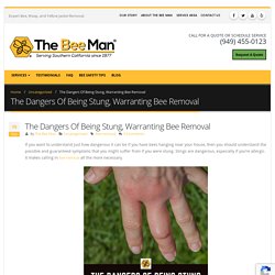 The Dangers Of Being Stung, Warranting Bee Removal