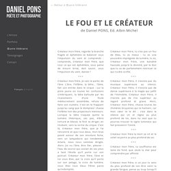LE FOU ET LE CRÉATEUR de Daniel PONS, Ed. Albin Michel