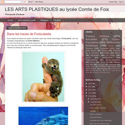 LES ARTS PLASTIQUES au lycée Comte de Foix: Dans les traces de Fontcuberta