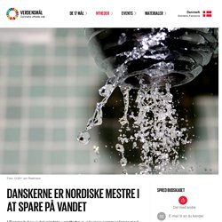 Danskerne er nordiske mestre i at spare på vandet