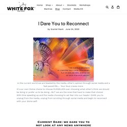 I Dare You to Reconnect – White Fox Nectars
