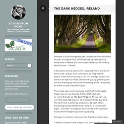 The Dark Hedges, Ireland « Stories from home