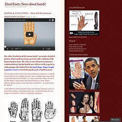 Hand Facts: News about hands!