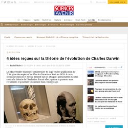 Darwin l'incompris : quatre idées reçues sur l'évolution - Sciencesetavenir.fr