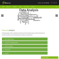 Marketing Analytics Services at Canopus Infosystems
