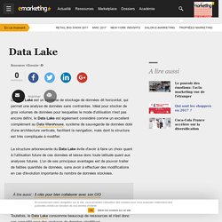 Data Lake - Définition du glossaire