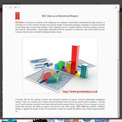 precise data: B2C Data as a Marketing Weapon