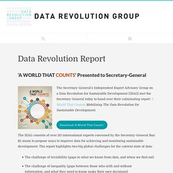 Data Revolution Report - Data Revolution Group