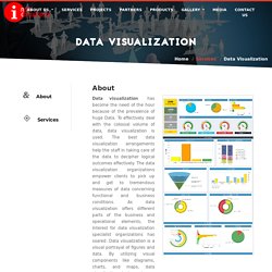 Data Visualization Services