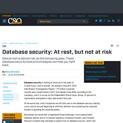 Database security: At rest, but not at risk