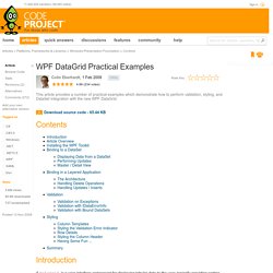 WPF DataGrid Practical Examples