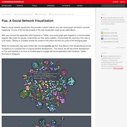 Fizz, A Social Network Visualization on Datavisualization
