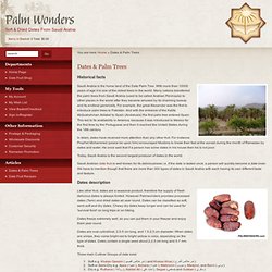 Dates & Palm Trees - Saudi Arabia - Facts Types & Nutrition