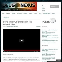 David Icke: Awakening From The Amnesic Sleep