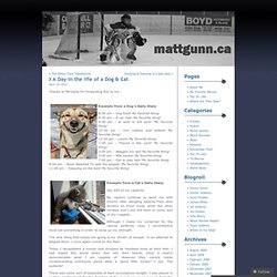 A Day in the life of a Dog & Cat « MattGunn.ca