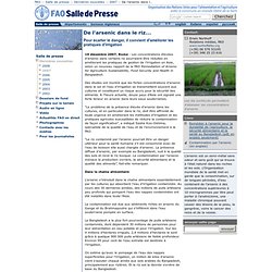 FAO 19/12/07 De l'arsenic dans le riz...