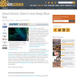 Dead Zones: Devil in the Deep Blue Sea